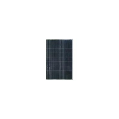[新品] 多晶156:54片串(JSM-54P)