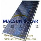 POLY SOLAR MODULES(MSP200P)