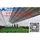 农光互补发电系统(农光互补)图3