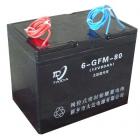太阳能专用蓄电池(6GFM-80TY)图2