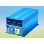 光伏离网逆变器(SK3000-224)