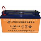太阳能胶体蓄电池(12V65AH)