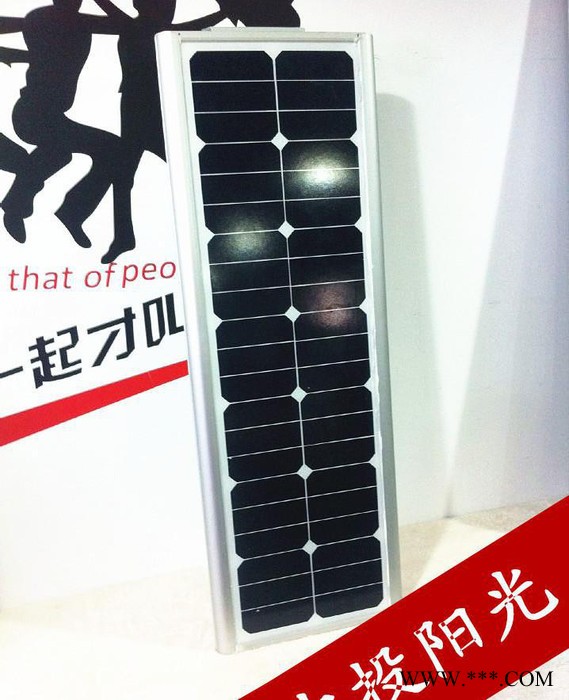 led路灯30W一体化太阳能感应灯 家用太阳能灯 直销