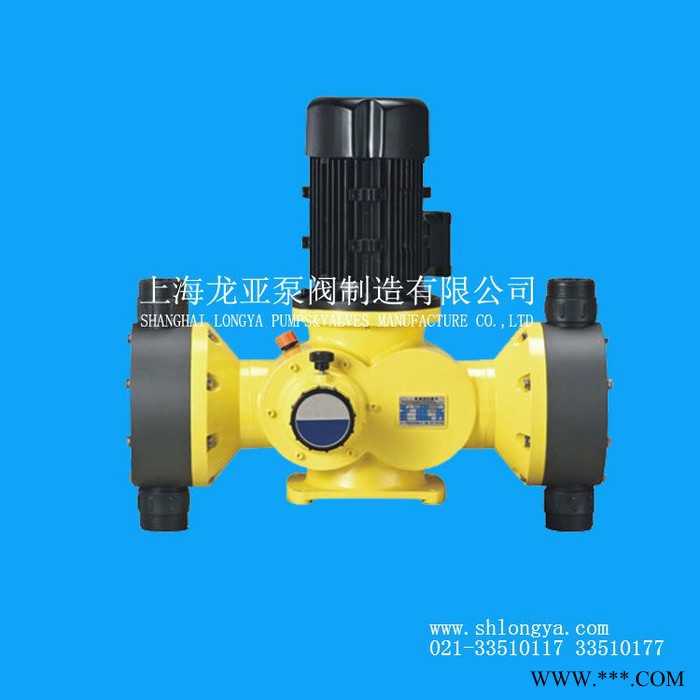 GB700海水及苦成水淡化可调式容积泵 盐水BT3计量泵