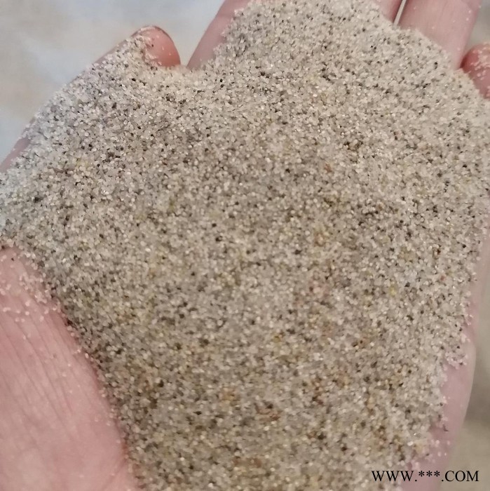 天隆海砂加工厂 圆粒海砂 水冲洗淡化海砂 海沙滤料 海砂的作用图5