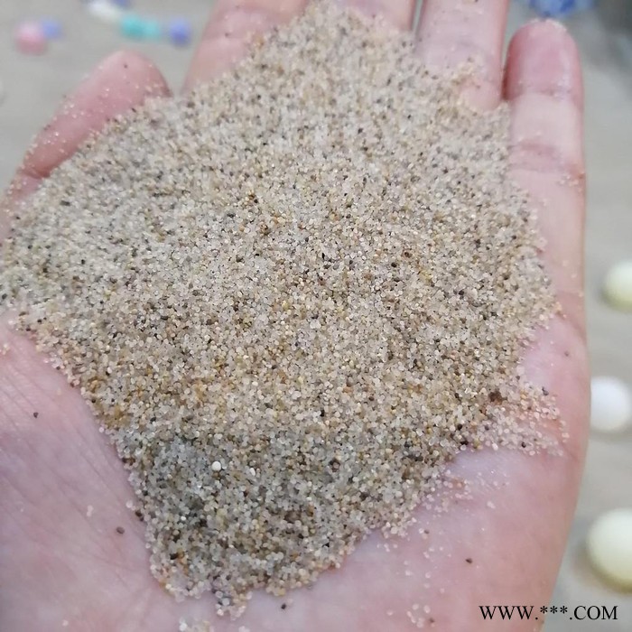 天隆海砂加工厂 圆粒海砂 水冲洗淡化海砂 海沙滤料 海砂的作用图8
