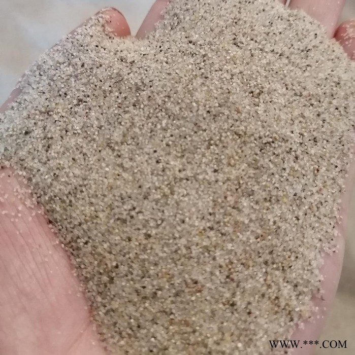 天隆海砂加工厂 圆粒海砂 水冲洗淡化海砂 海沙滤料 海砂的作用图6