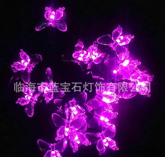 诚信直销太阳能灯串 LED节日彩灯 工艺装饰灯室外防水灯图2
