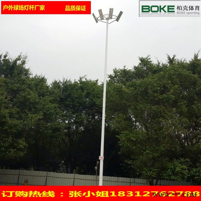 太阳能灯杆直销 专业生产各种**LED太阳能路灯灯杆图5