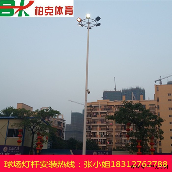 太阳能灯杆直销 专业生产各种**LED太阳能路灯灯杆图2