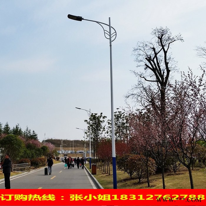 太阳能灯杆直销 专业生产各种**LED太阳能路灯灯杆图7