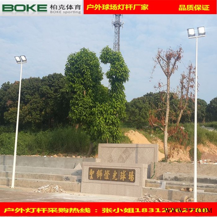 太阳能灯杆直销 专业生产各种**LED太阳能路灯灯杆图8