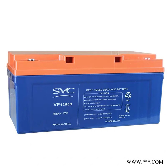 SVC蓄电池VP1265S 储能蓄电池 阳光蓄电池图3