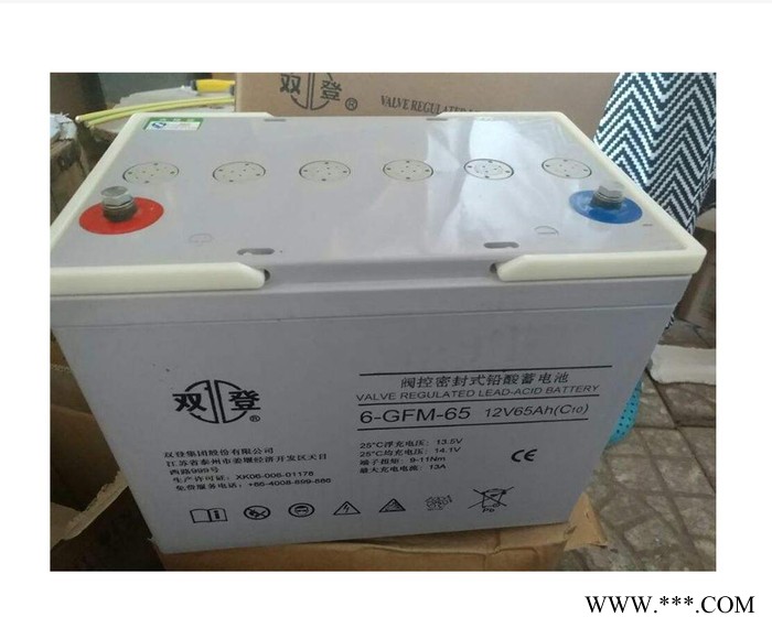 双登蓄电池GFMH-300铅酸免维护机房UPS应急电源2V300AH蓄电池厂家图5