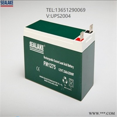 生产SEALAKE储能蓄电池FM12400 12V40AH参数