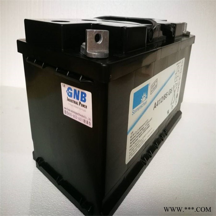 Sonnenschein/德国阳光A412/65G6 德国阳光蓄电池12V65AH 阀控式储能蓄电池厂家图2