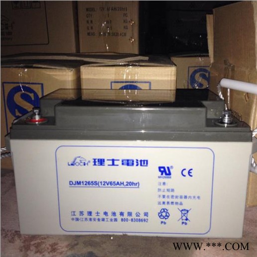 理士(LEOCH)DJM系列铅酸蓄电池DJM1265S 12V65AH铅酸免维护蓄电池 铅酸储能电池