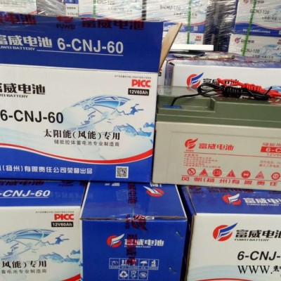 风帆太阳能蓄电池6-CNJ-60 胶体蓄电池