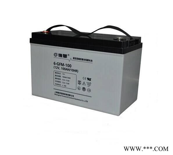 上海复华铅酸蓄电池 MF12-200 复华12V200AH蓄电池 直流屏 UPS EPS 太阳能图4