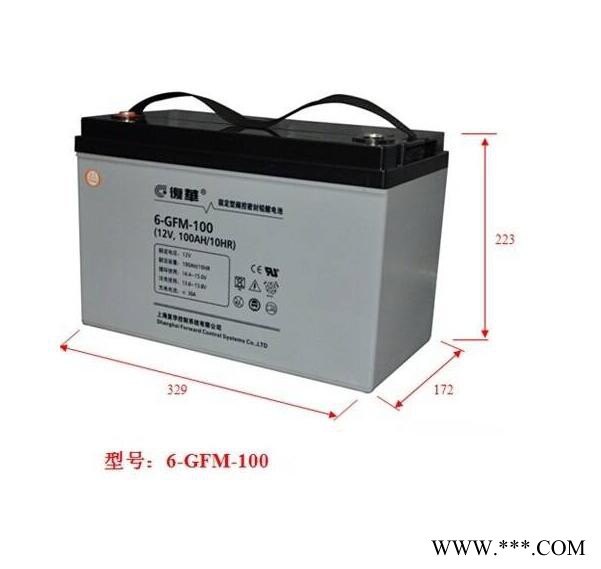 上海复华铅酸蓄电池 MF12-200 复华12V200AH蓄电池 直流屏 UPS EPS 太阳能图3