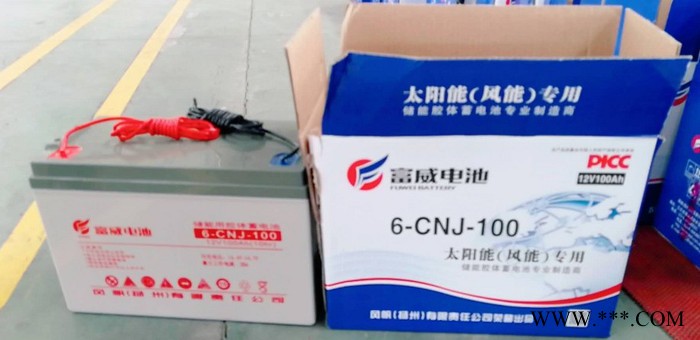 风帆蓄电池6-CNJ-100 胶体储能蓄电池 新农村建设
