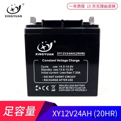 兴源XY12-24 免维护铅酸蓄电池 消防安防主机电源 太阳能路灯电池 ups电池