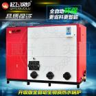 [新品] 生物质锅炉(20-180万大卡)图2