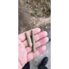 生物质颗粒图3