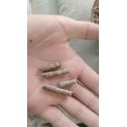 [促销] 花生秧草颗粒(tq0302)图3