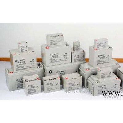 BABY蓄电池FM/BB12135T 12V135AH后备储能应急蓄电池/原装