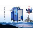 全自动生物质颗粒蒸汽发生器