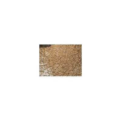 生物质松木成型颗粒燃料