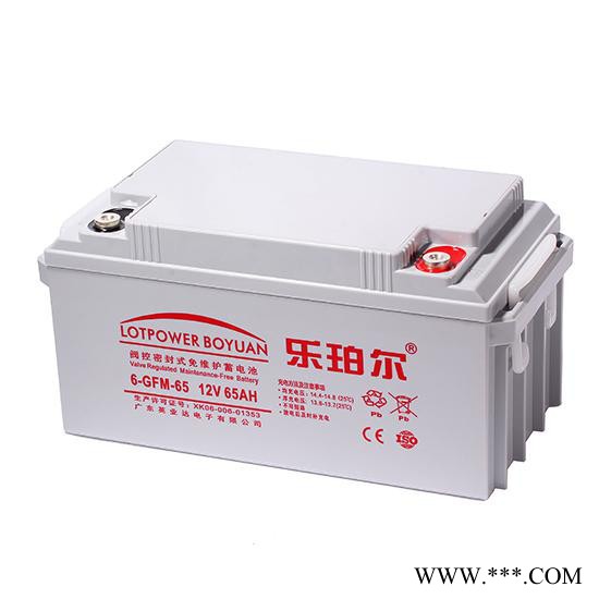 乐珀尔6-GFM-65 储能蓄电池