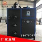 [新品] 燃气蒸汽发生器图2