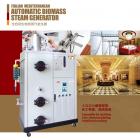 生物质蒸汽发生器(100kg)