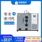 生物质蒸汽发生器(LHG0.2S)