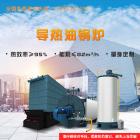 [新品] 生物质循环流化床锅炉(DHX)