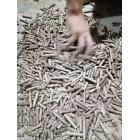 [新品] 山东颗粒供应生物质颗粒图2