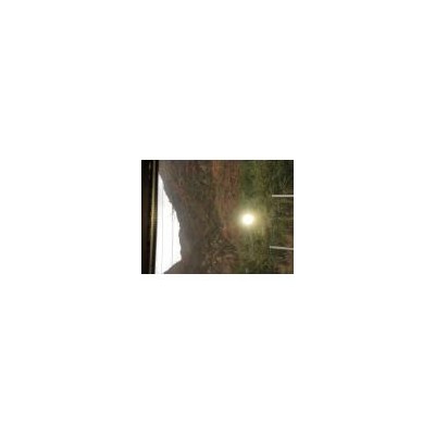 生物质固体成型燃料(8MM)