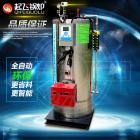 [新品] 生物质蒸汽发生器(0.05-0.15T/h)图3
