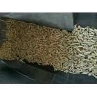 [新品] 大量供应生物质颗粒颗粒图3