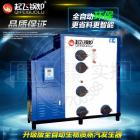 [新品] 生物质蒸汽发生器(0.05-015kg/T)图2
