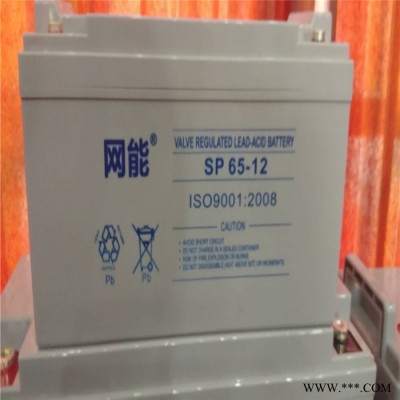 网能蓄电池SP65-12 太阳能系统交通及航标信号灯专用  12V65AH现货供应