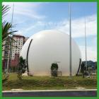 沼气双膜气柜储气柜沼气柜(DMG500m³)图2