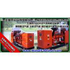 200KW生物质沼气发电机组(200KW 250KW 300KW)