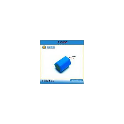 [新品] LED 梅花形锂电池(YH003)