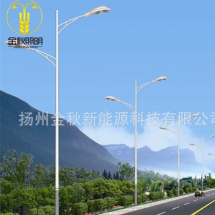 路灯灯杆厂家 6米30w 加工定制 led节能太阳能路灯 道路灯灯杆图3