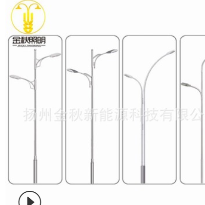路灯灯杆厂家 6米30w 加工定制 led节能太阳能路灯 道路灯灯杆图2