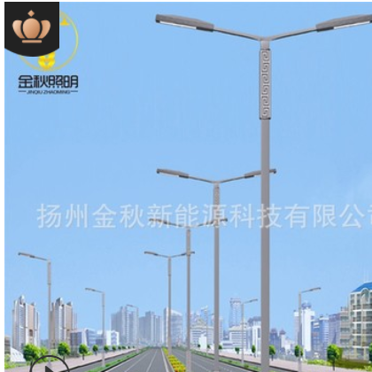10米双臂路灯批发 定制热镀锌6米8米12米路灯杆 100wled市电路灯图3
