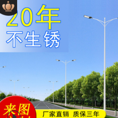 10米双臂路灯批发 定制热镀锌6米8米12米路灯杆 100wled市电路灯